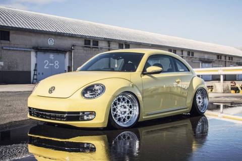 VW-beetle-BMD-grouper-20inch