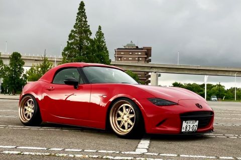 バラマンディデザイン