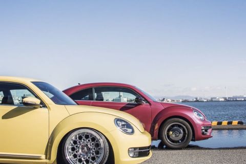 VW-beetle-BMD-grouper-20inch